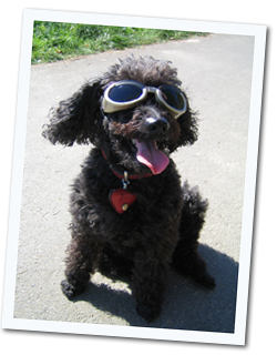 blacky01 blacky01